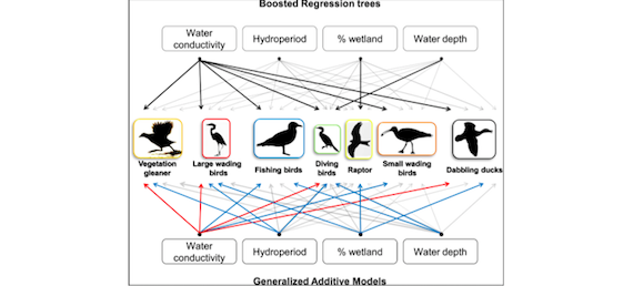 Climate change affects endangered Mediterranean waterbirds (scientific paper)