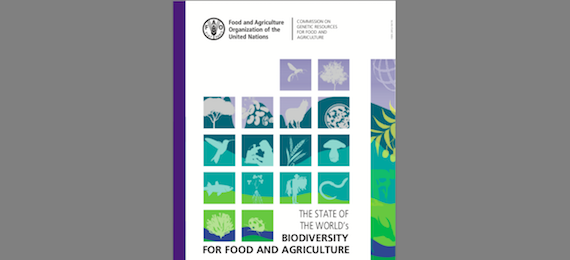 The State of the World’s Biodiversity for Food and Agriculture (FAO report)