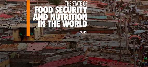 Food security and nutrition report
