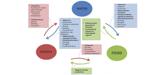 Can the implementation of the Water-Energy-Food Nexus support economic growth in the Mediterranean region ? (article)