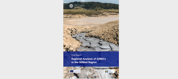 Regional analysis of the (I)NDCs in the SEMed Region (report)