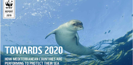 Towards 2020: how Mediterranean countries are performing to protect their sea (WWF report)