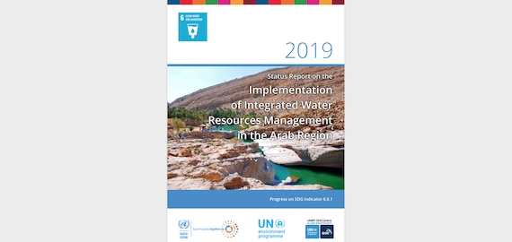 Status Report on the Implementation of Integrated Water Resources Management in the Arab Region
