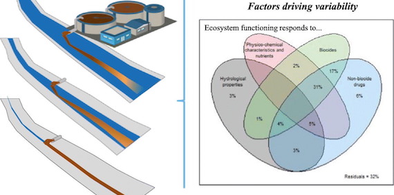 Combined effects of urban pollution and hydrological stress on ecosystem functions of Mediterranean streams (article)