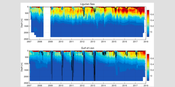 Abrupt warming and salinification of intermediate waters interplays with decline of deep convection in the Northwestern Mediterranean Sea (article)