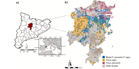 Future trade-offs and synergies among ecosystem services in Mediterranean forests under global change scenarios (article)