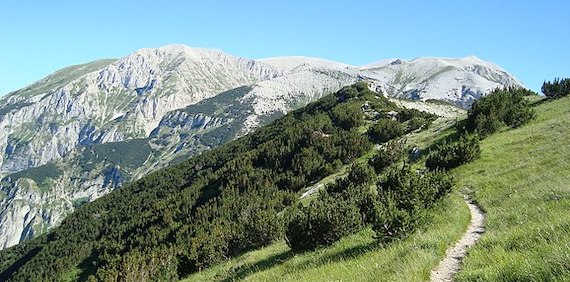 Contrasting multitaxon responses to climate change in Mediterranean mountains (article)
