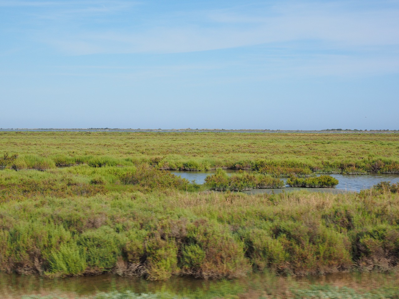 Read more about the article Ecosystem services provided by Mediterranean wetlands by Plan Bleu