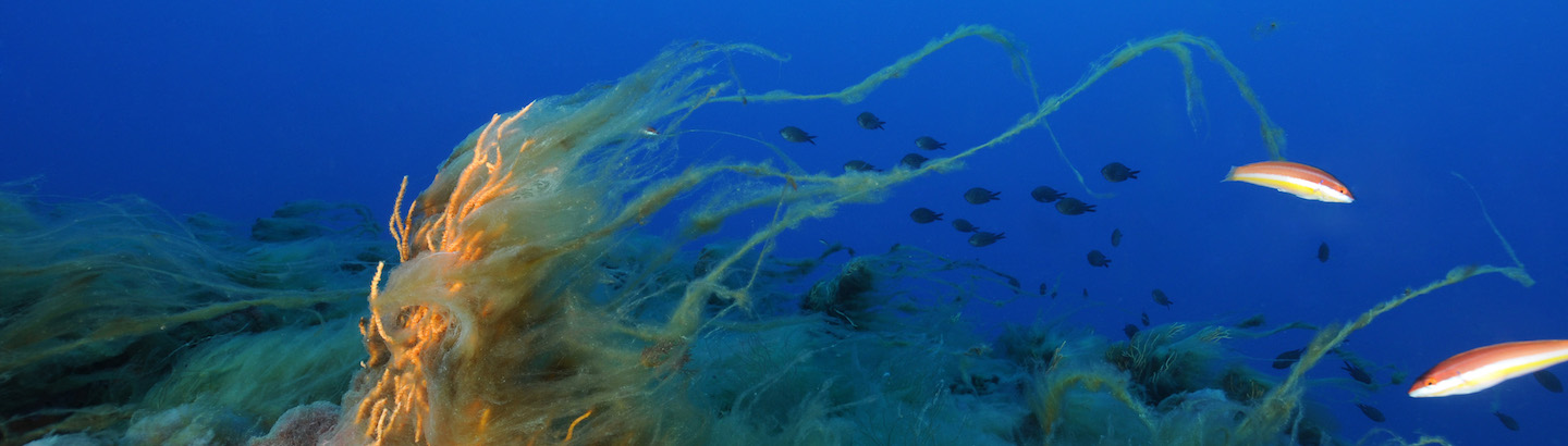 Read more about the article Workshop on marine ecosystems and economy, 18-19 October 2017, Monaco