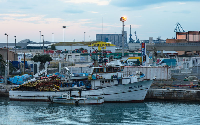 Read more about the article Impacts of fishing exploitation in Mediterranean sub-areas