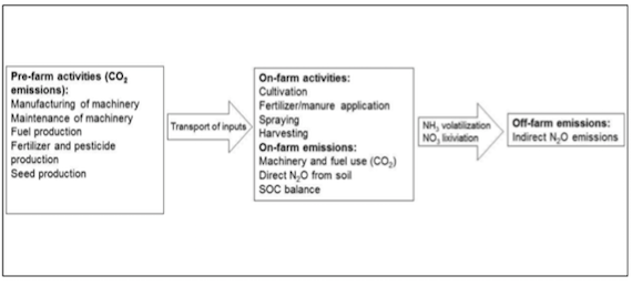 Read more about the article Contribution of old wheat varieties to climate change mitigation (article)