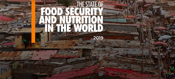 Read more about the article The state of food security and nutrition in the world (report)