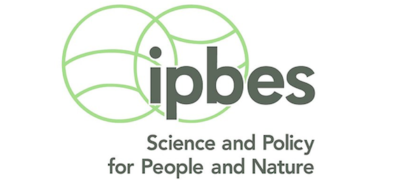 Read more about the article IPBES Global Assessment Report on Biodiversity and Ecosystem Services