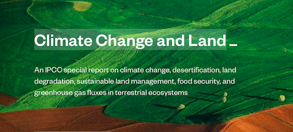 Read more about the article Special Report on Climate Change and Land (IPCC)