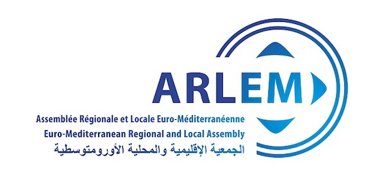 Read more about the article ARLEM 11th plenary session