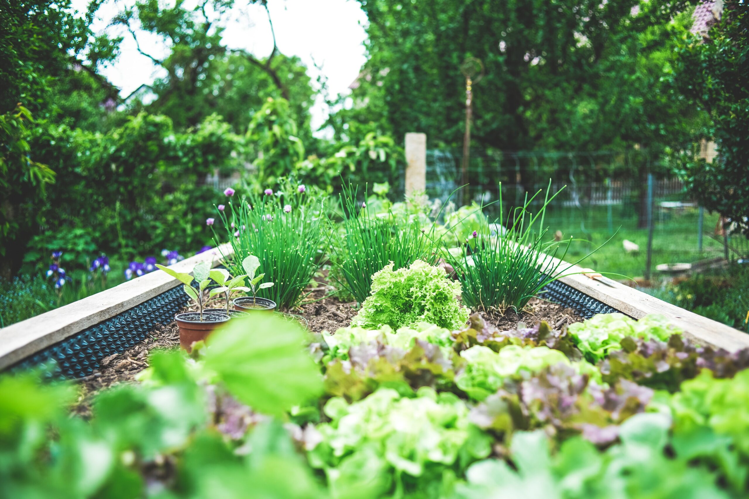 Read more about the article Biodiversity and Health in the Face of Climate Change (book)