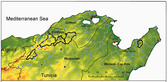 Read more about the article Sensitivity of discharge projections to potential evapotranspiration estimation in Northern Tunisia (article)