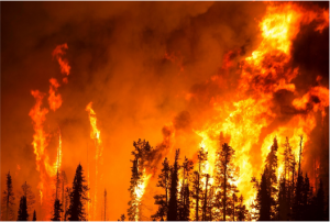 Read more about the article New study on the Europe’s fire regime in the context of Global warming