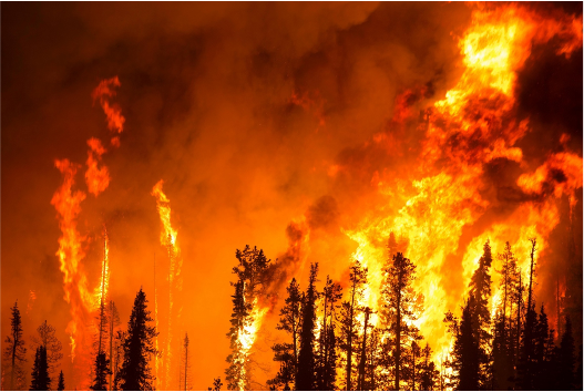 Read more about the article New study on the Europe’s fire regime in the context of Global warming