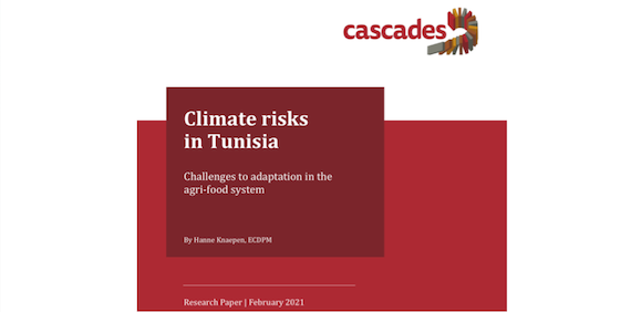 Read more about the article Climate risks in Tunisia: Challenges to adaptation in the agri-food system