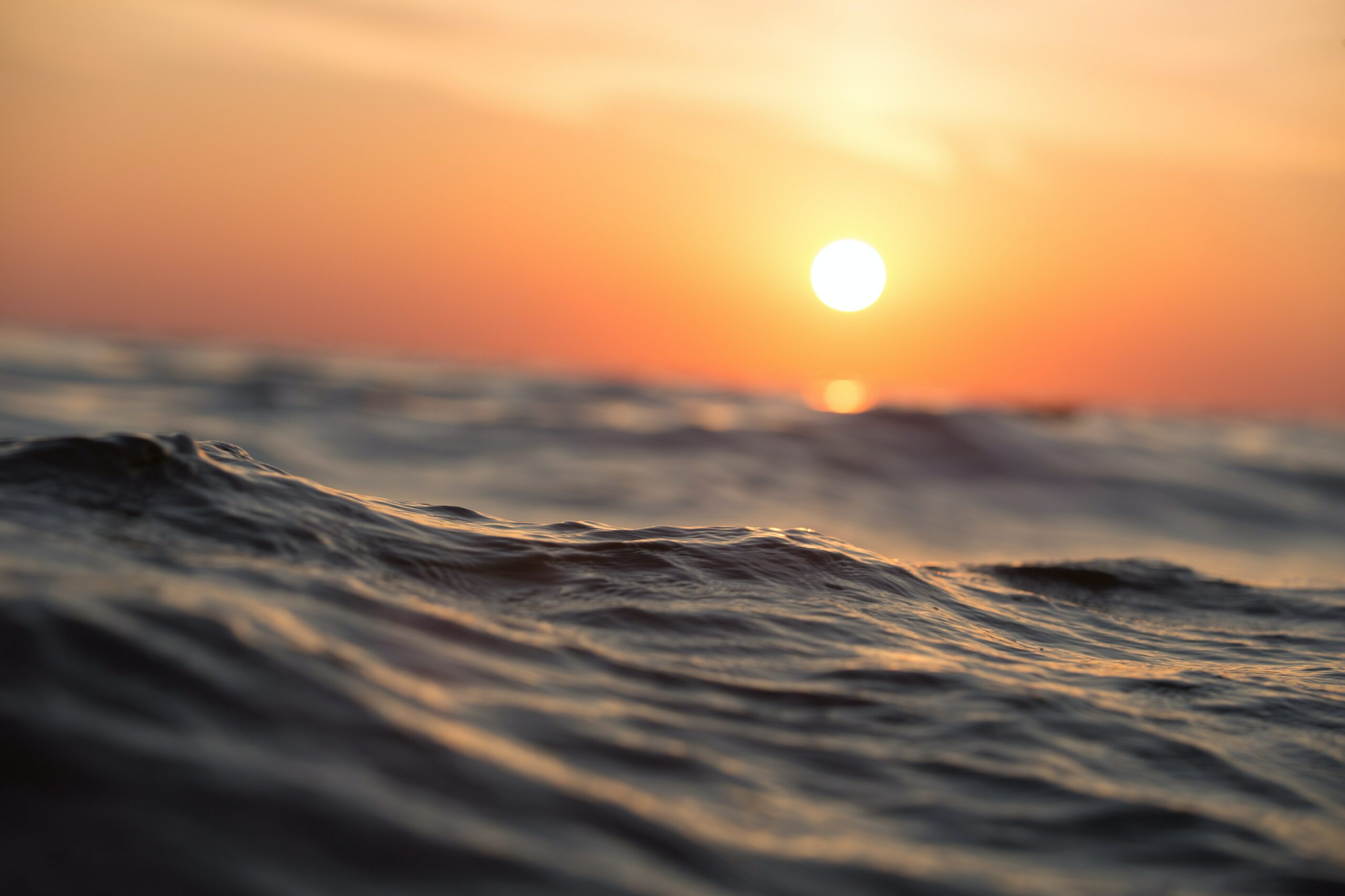 Read more about the article Sub-Regional Marine Heat  Waves in the Mediterranean Sea From Observations: Long-Term Surface  Changes, Sub-Surface and Coastal Responses