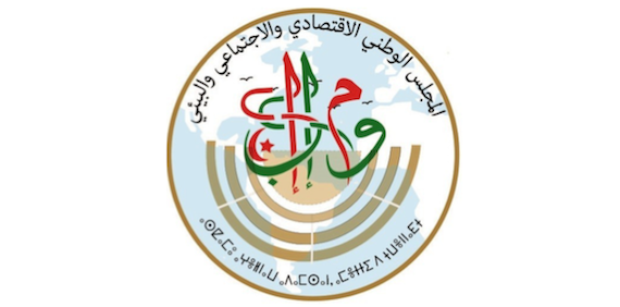 Meeting on environmental policies by the National Economic and Social Council of Algeria, 14 July 2021