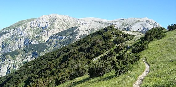 Read more about the article Contrasting multitaxon responses to climate change in Mediterranean mountains (article)