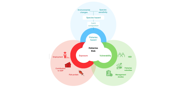 Contrasted patterns in climate change risk for Mediterranean fisheries (article)