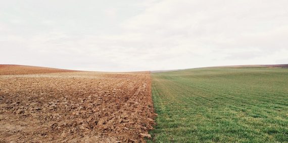 Read more about the article Land management, land-use change, and climate change effects on soil organic carbon