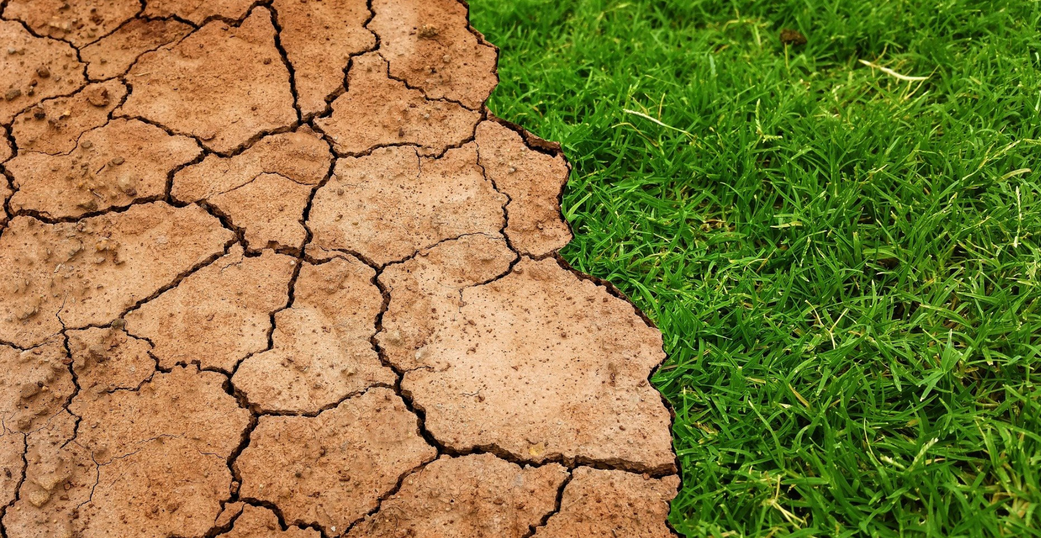 Read more about the article MedECC participates in the 3rd UfM Working Group on Environment and Climate Action