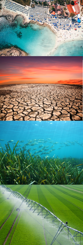 Read more about the article MedECC Special Reports: 2021-2023