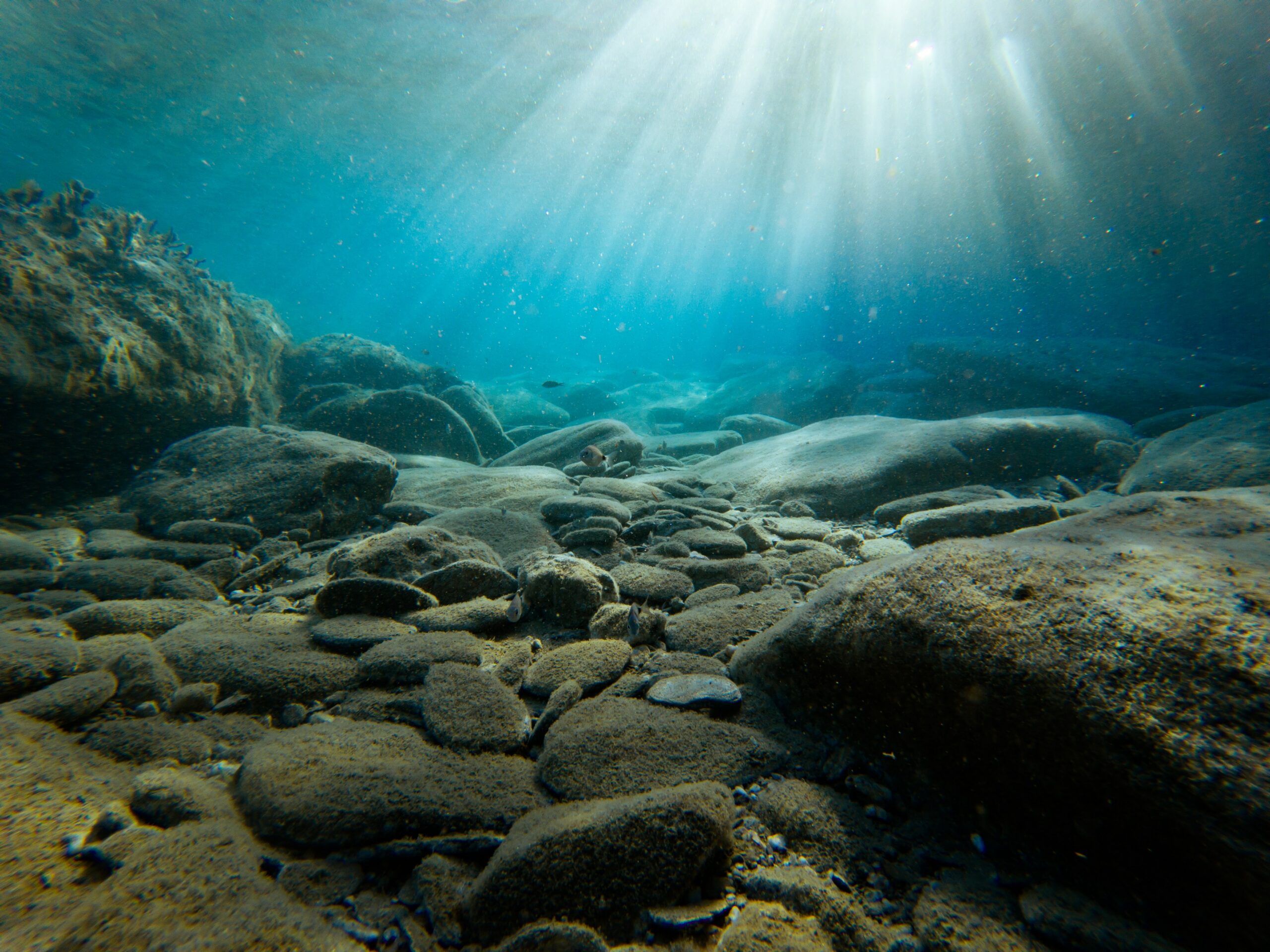 Mediterranean Sea Floor, Crete Region, Greece, Unsplash