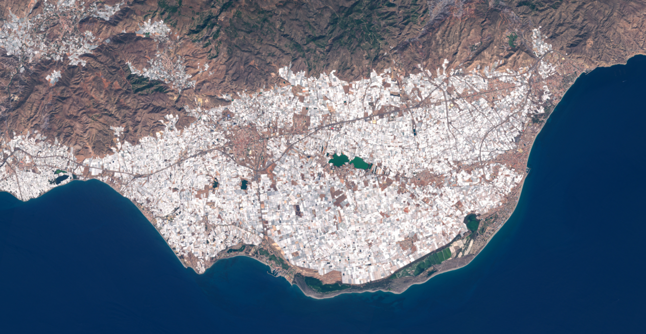 Infographic Water and Food in the Mediterranean available in Spanish