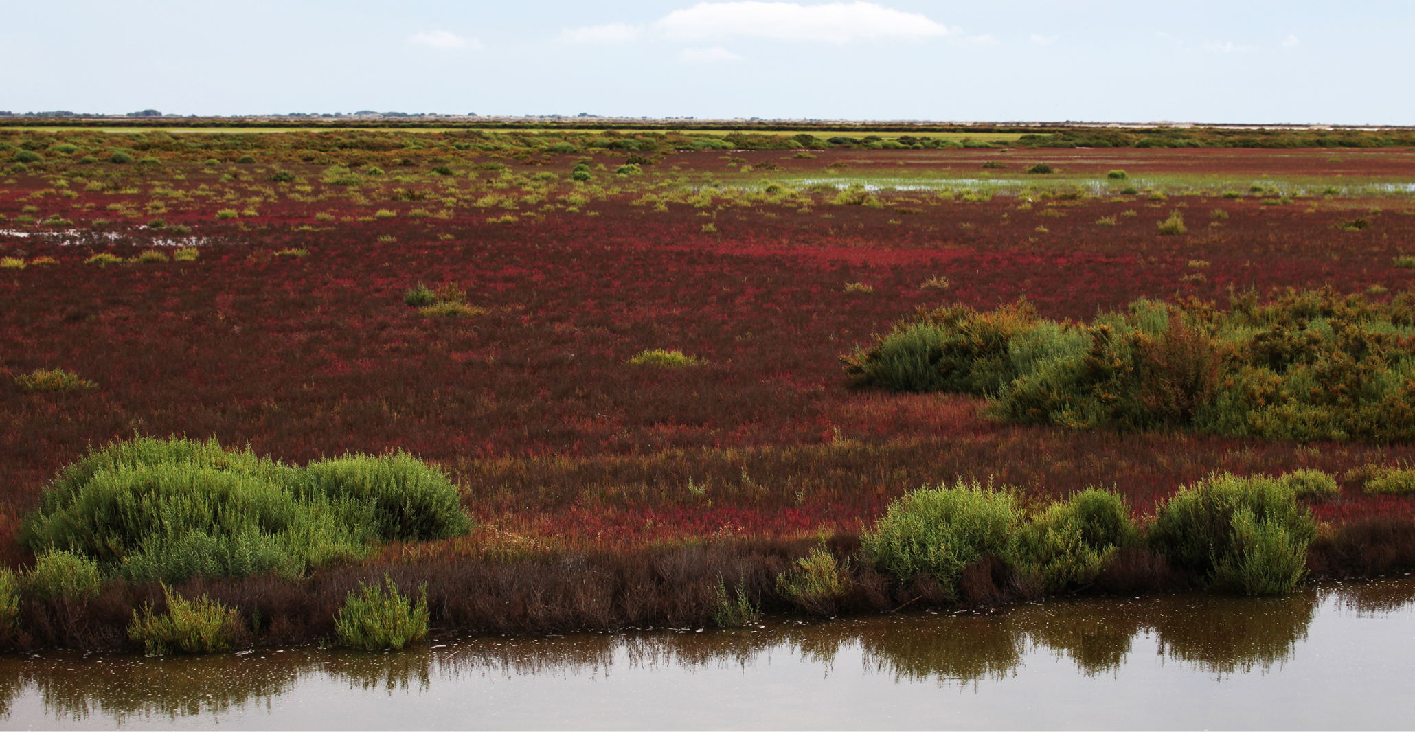 Read more about the article Restoring Mediterranean Wetlands – The new policymaker’s playbook for sustainable management and ecosystem restoration by 2030