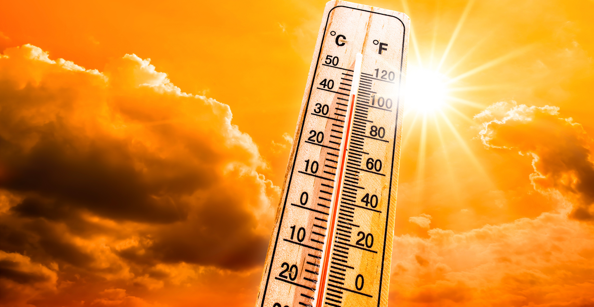 Read more about the article Extreme April heat in Spain, Portugal, Morocco & Algeria almost impossible without climate change (WWA study)