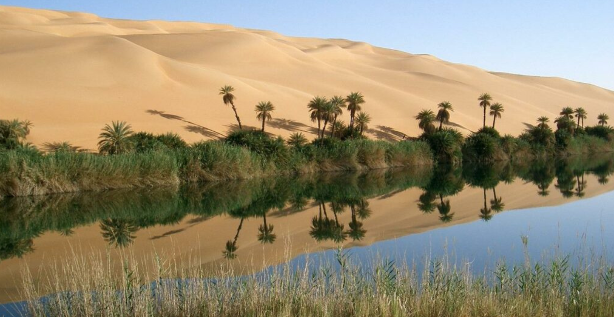 oasis lybia water