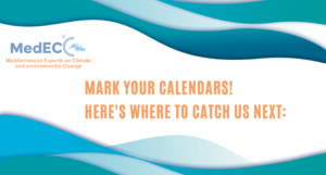 Read more about the article Agenda