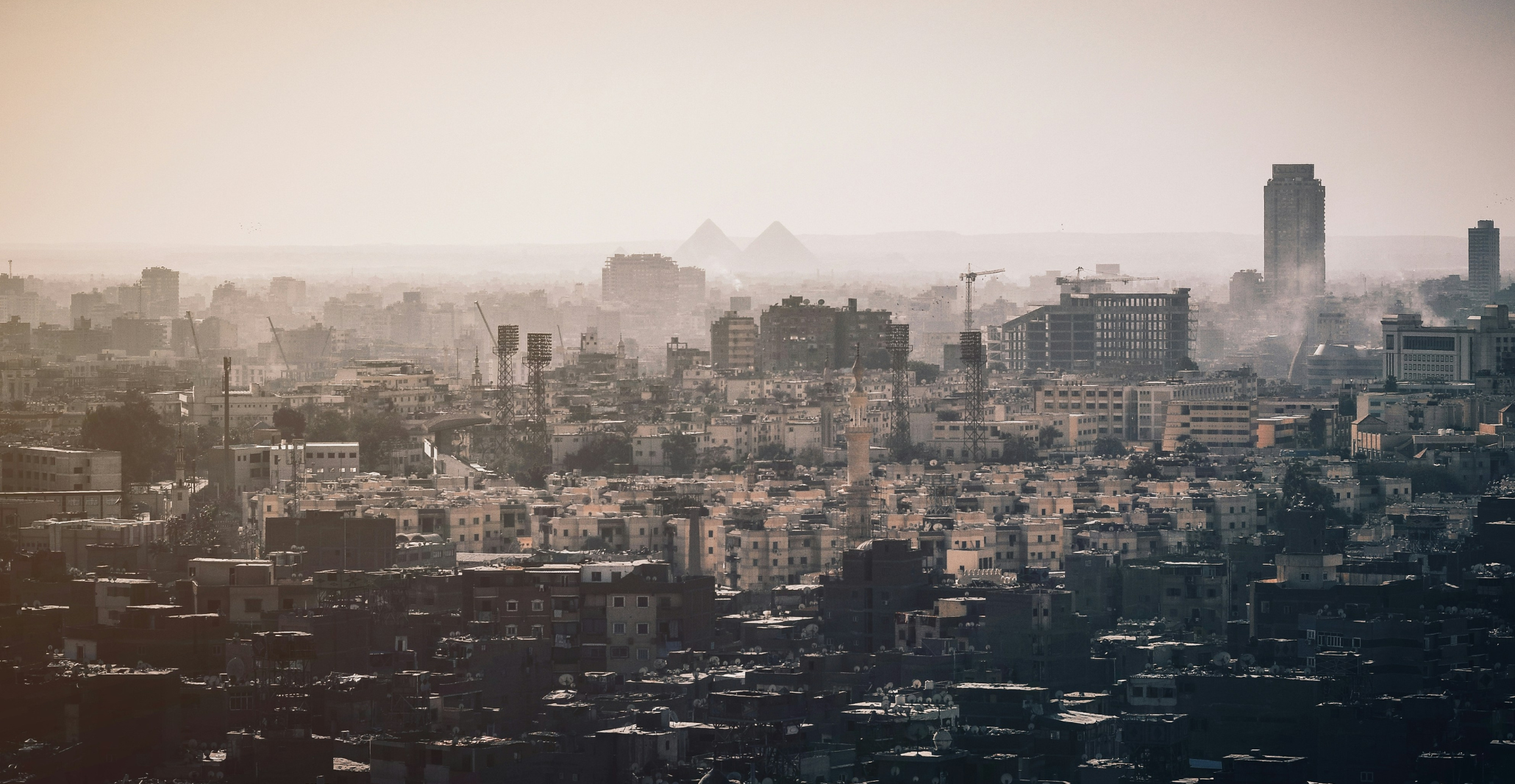 Read more about the article MedECC representation in Cairo in advancing science diplomacy