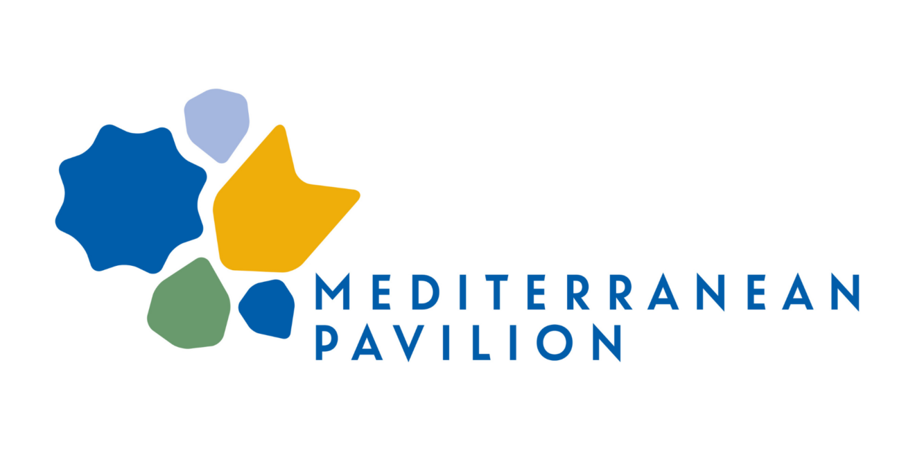 MedECC at UNFCCC COP29
