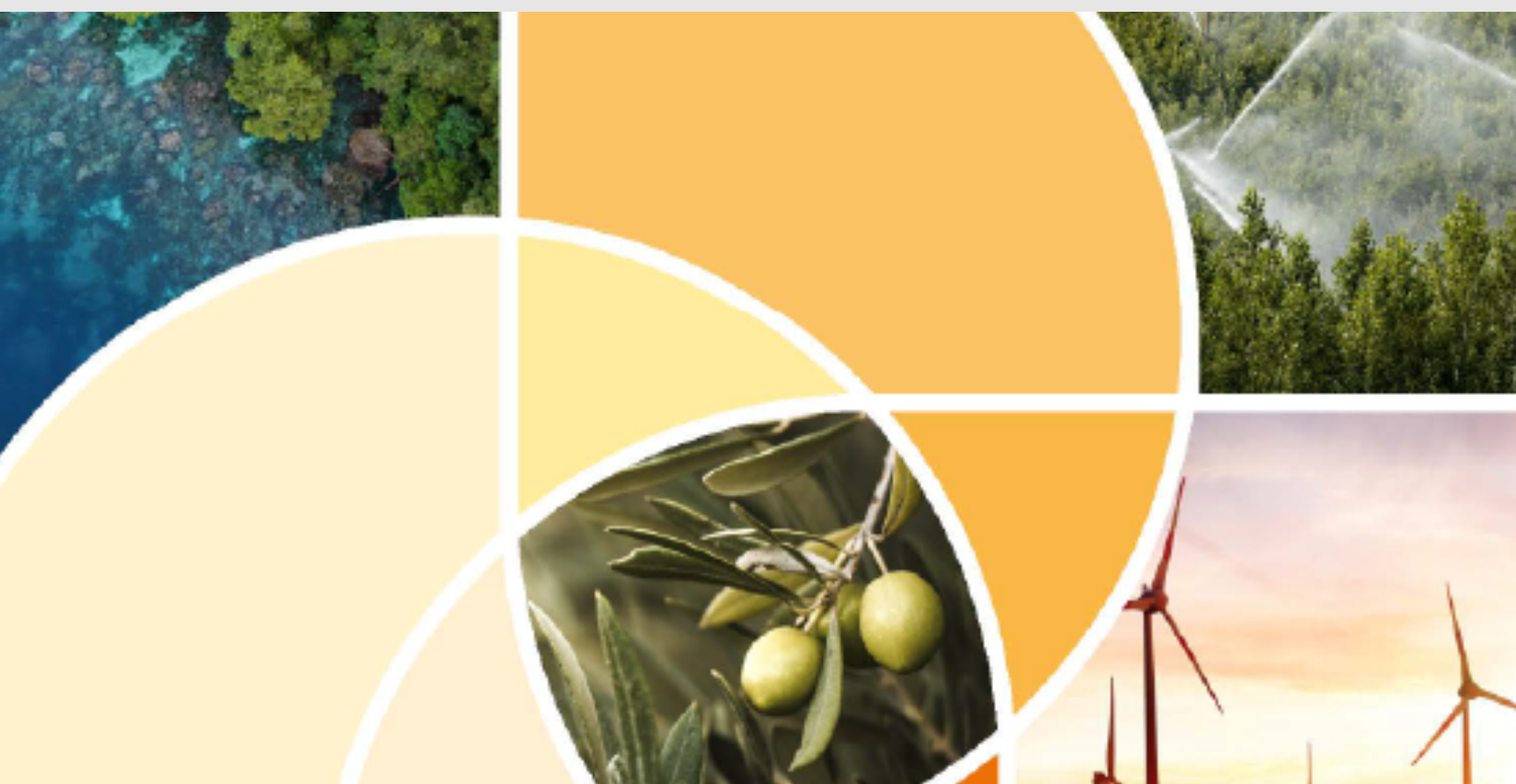Read more about the article Webinar: WEFE (Water-Energy-Food-Ecosystems) nexus in the Mediterranean