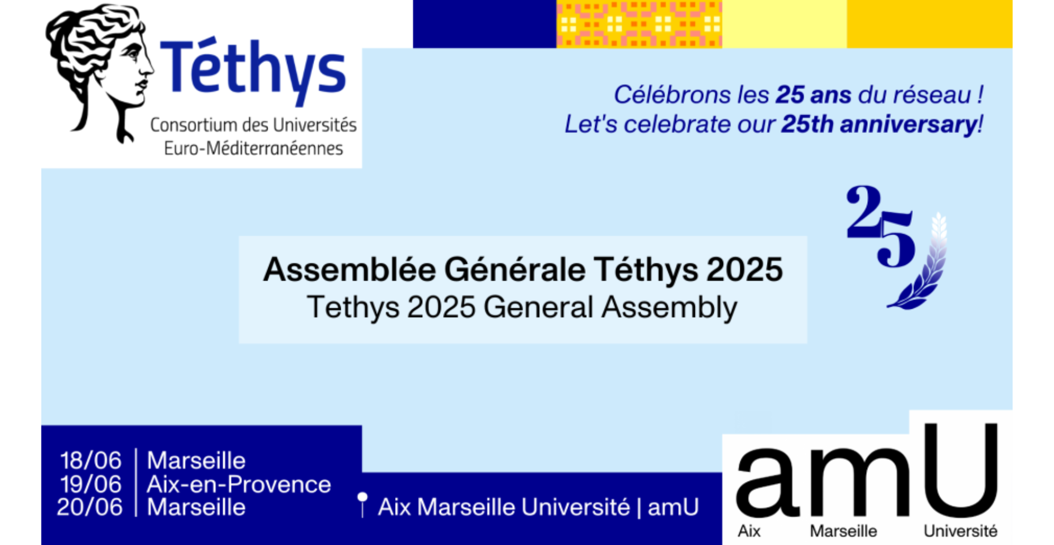 Read more about the article MedECC at Tethys 2025 Annual General Assembly