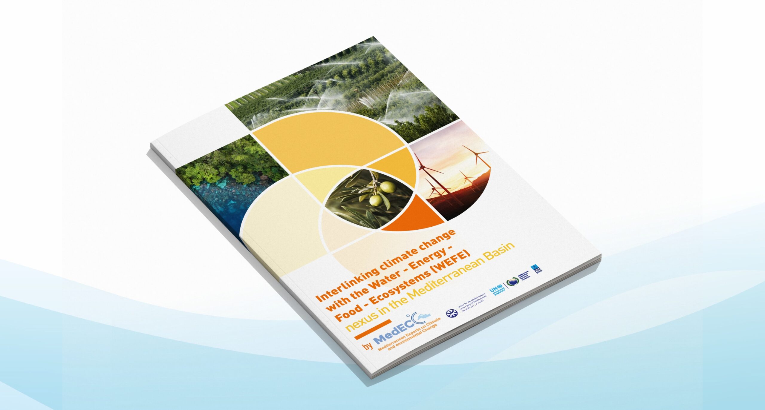 Read more about the article Special Report: Interlinking climate change with WEFE nexus in the Mediterranean Basin