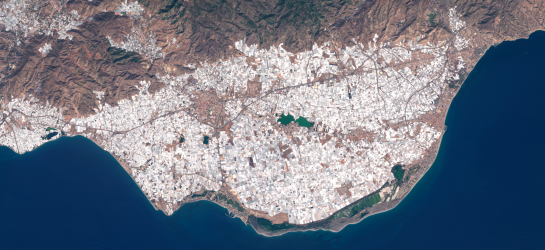 Agriculture - Spain - Almeria - Pauschert