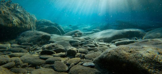 Ocean Floor, Crete Region, Greece