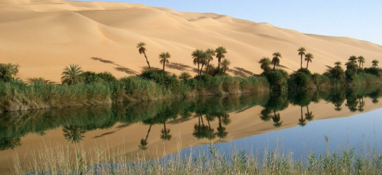 oasis lybia water